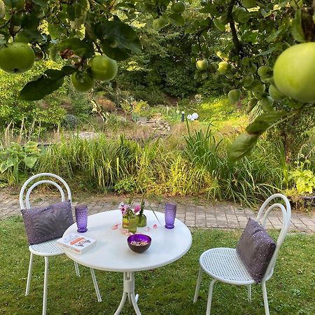 Ferienwohnung In Historischer Villa Mit Gartennutzung Furth im Wald Eksteriør billede